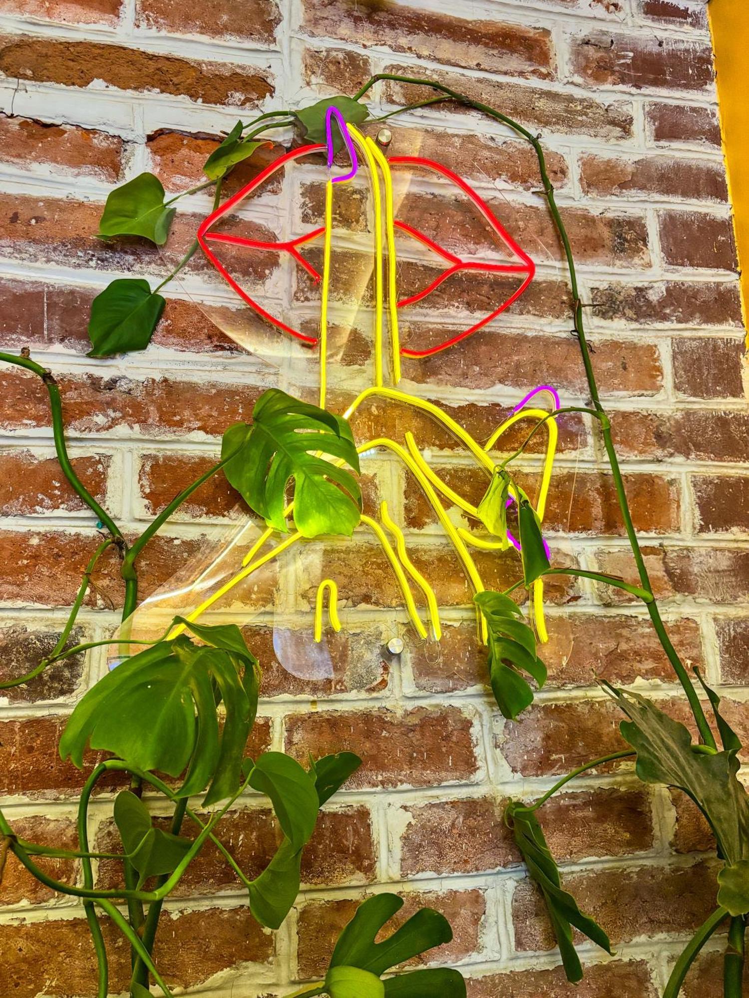 Hostal The Secret Garden *